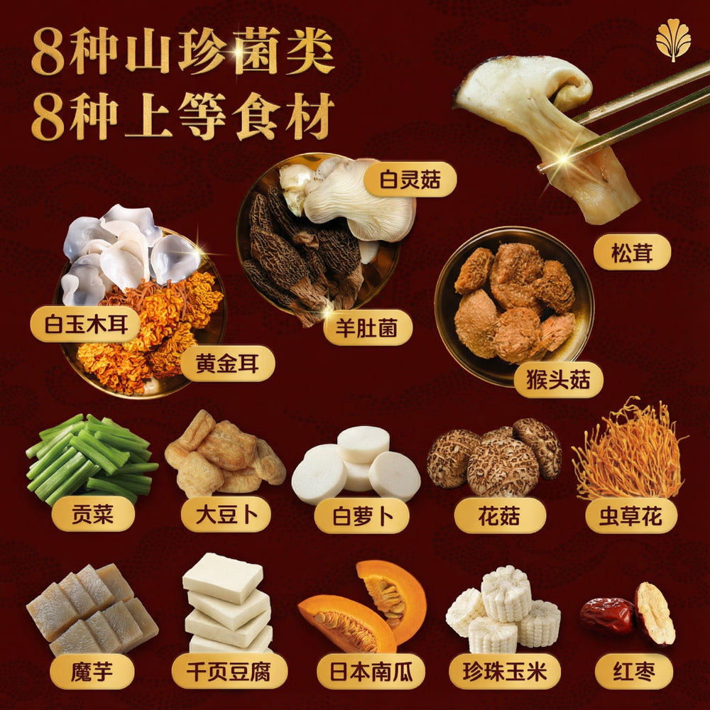 双马并进 配套B