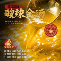 双马并进 配套B